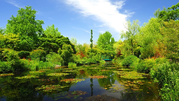 北川村「莫奈花園」馬蒙丹