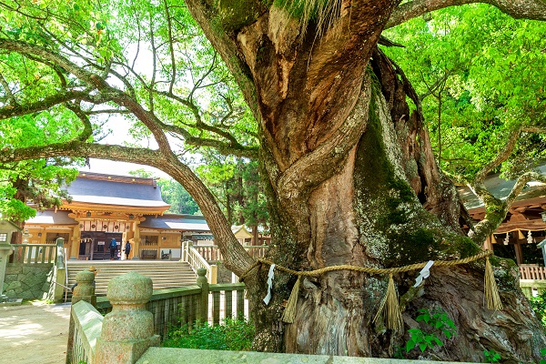 Ooyamazumi shrine