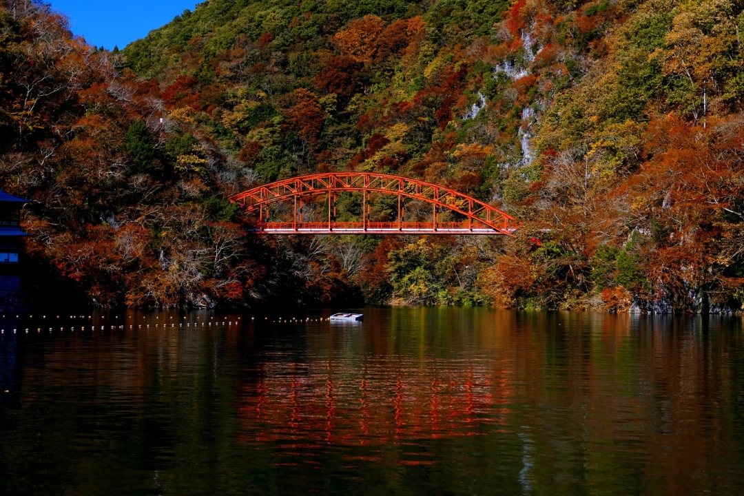 紅葉した帝釈峡と赤い橋の神龍橋