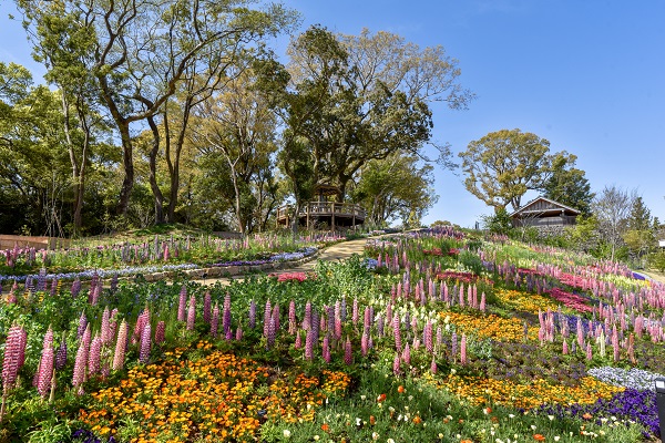 高知縣立牧野植物園