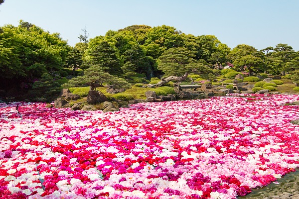 Yuushien garden