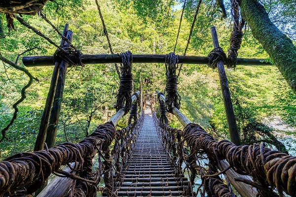 Kazurabashi Vine Bridge