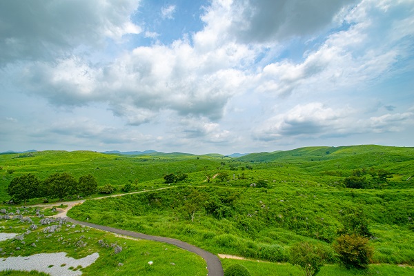 The view from the Akiyoshi Plateau Observation Deck.