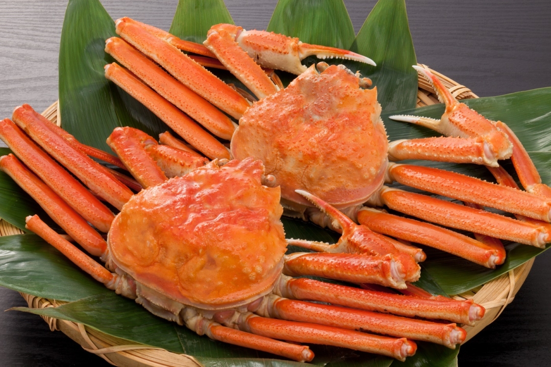 日本海が誇る冬のご馳走！「カニ」 | 旅コラム | 鳥取 | グルメ | 中国