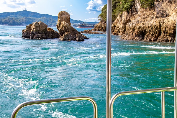 即日発送可能‼️moon 地域限定希少モデル 中国地方、四国、九州限定 水無瀬駒モナカセット 10コ ／ 菓子 和菓子 もなか 最中 詰合せ 食べ