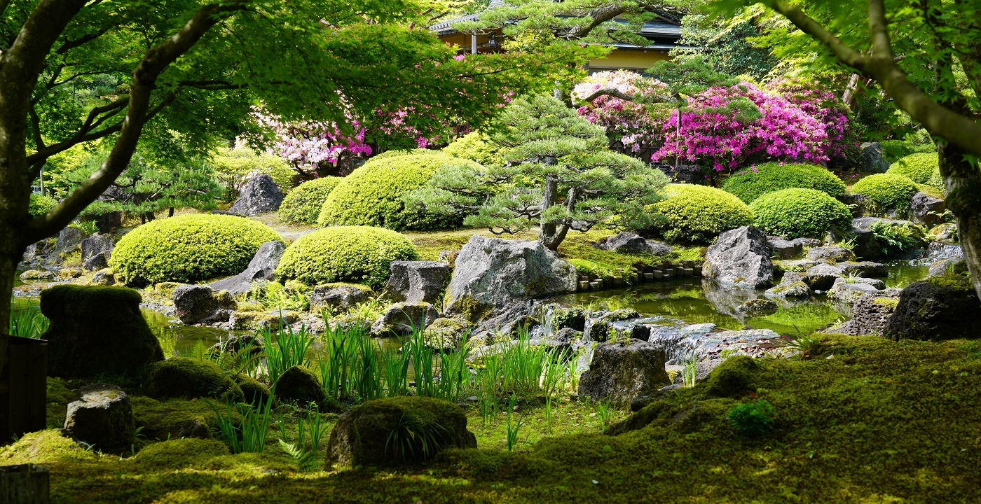 日帰り）四季の美と歴史を巡る！松江城と日本庭園＆堀川遊覧船